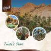 Dates deglet Nour of Tunisia 