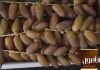 Dates deglet Nour of Tunisia 