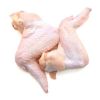  FREE SHIPPING Brazil Halal frozen chicken drumstick