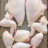  FREE SHIPPING Brazil Halal frozen chicken drumstick