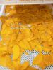 Soft Dried Mango Fruit