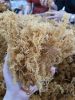 SUNDIRED AND WILD-CRAFTED DRIED SEA MOSS FROM VIET NAM