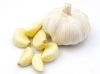 Garlic Clove