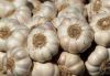 Garlic Clove
