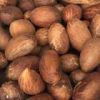 Bitter Kola Nuts
