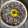 Black Sunflower Seed Kernels Supplier Long Shape 99.9% Min 10% Max Premium Grade from ZA Dried Raw COMMON Cultivation
