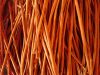 VAA Export Quality Cinnamon / Cassia VAA