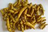 Dry Turmeric