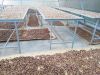 Cloves high quality fr...