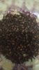 Cloves high quality fr...