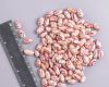 Wholesale Sugar Beans ...