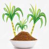 jaggery powder