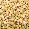 Buckwheat for sale at ...