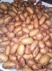 Soybeans, Bitter Kola ...
