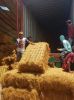 COCONUT FIBER, COCOFIB...