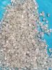 Rough diamonds for sale