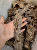 Agarwood ( oud ) of Qu...