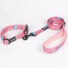 OKEYPETS Professional OEM Private Label High Density Polyester Webbing Personalized Pet Dog Collar With Leash