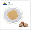 Shiitake Mushroom Extr...
