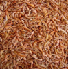 DRIED CRAYFISH