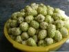 Dried Fruits of Morinda Citrifolia