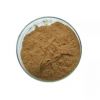 100% Natural Plant Powder Ferula  Asafetida Extract