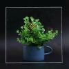 Wholesale COMAY Brand clear cast acrylic sheet 4*8ft
