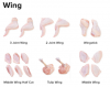 Chicken Wings and othe...