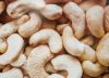 cashew nut