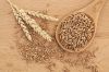 Whole Wheat Spelt Flour