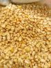 White Corn Available i...