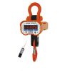 direct viewing electronic crane scale