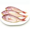 Frozen Golden Threadfin Bream