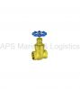 IS-1 Gun Metal Gate Valve