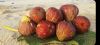 figs