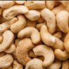 Cashew Nuts