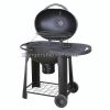 Portable BBQ Grill - BG-P08S-W