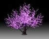 LED CHERRY LIGHT