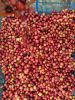 Robusta Dampit Coffee ...
