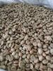 GREEN COFFEE BEANS - A...