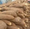 Yam From Ghana