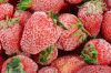 Frozen Vegetables, Frozen Fruits