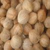 Cheap Price Fresh Mature Semi Husked Coconut