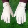 Premium Quality Hot Selling Professional Baseball Batting Glove Hand Protection Gloves Leather Hand Sports Gloves