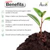 Abono Vermicompost, Organic &amp; Natural Nutrient-enrich Fertilizer, Eco-Friendly