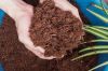 Coco Peat Blocks 5KG