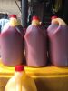 Palm Oil
