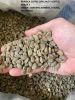 INDONESIA ARABICA and ROBUSTA COFFEE BEANS