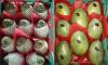 FRESH CITRUS FRUITS |ORANGES | LEMONS | APPLE |BANANA