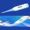 Digital thermometer